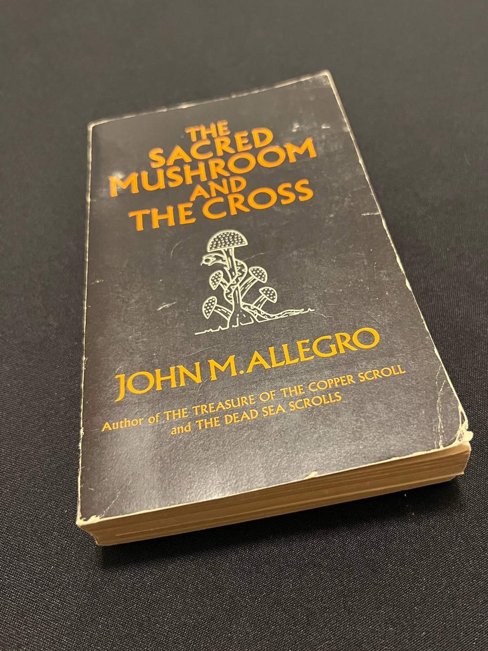 The Sacred Mushroom and the Cross by John M. Allegro - Black & Gold Paperback